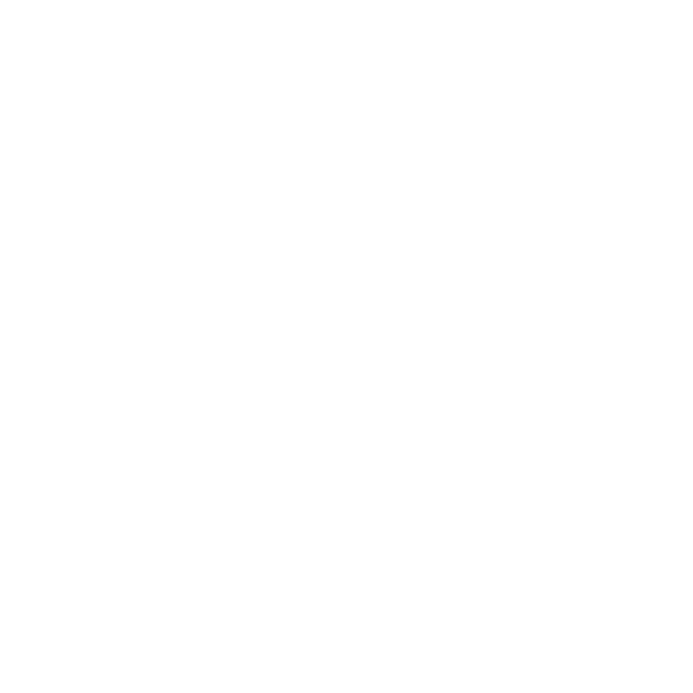VPN